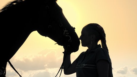 Horse riding. Horse love. Silhouettes of a young woman and her horse, at sunset, on sky background and sun rays back light. friendship between man and horse. Equitation.