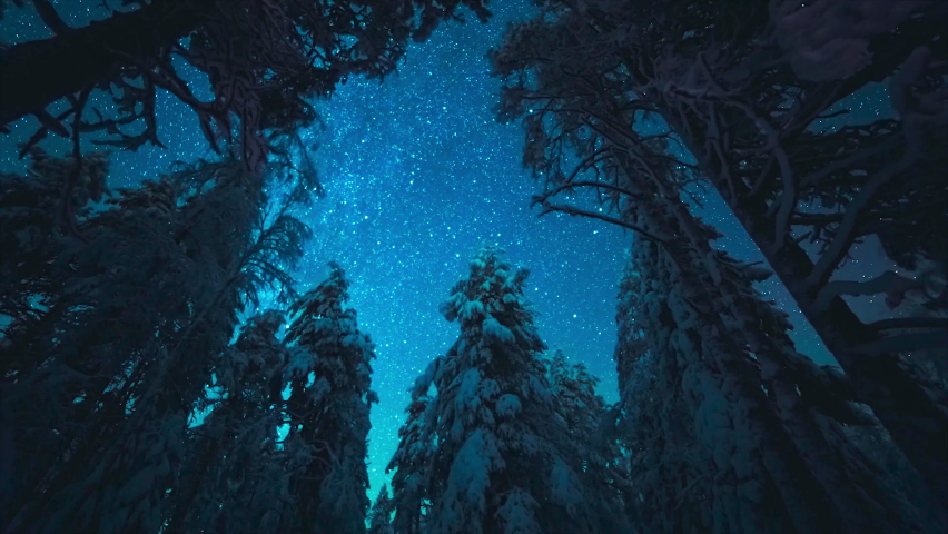 Breathtaking Time Lapse of the Night Sky Moving Over Snowy Evergreen Pine Trees. Timelapse of Stars Sky During Meteor Showers and Aurora Borealis. Milky Way Galaxy at Night. Finland Starry Night. 4k