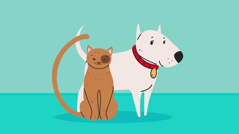 cat and dog mascots animation ,4k video animated