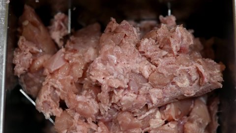 making sausages at home according to family recipes. salami product, meat industry, machine. mincing meat, making minced meat.