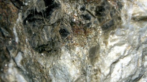 Closeup of a muscovite gneiss with large solitary muscovite crystals une quartz bands in a light gray matrix