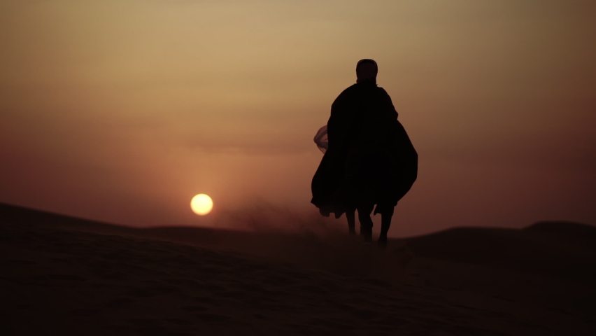 An Arab Person With Horses in the desert at sunset   Royalty-Free Stock Footage #1084580194