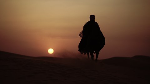 An Arab Person With Horses in the desert at sunset  