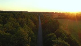 Drone flight over the asphalt road through the green pine forest. Bird's eye view. Location place Ukraine, Europe. Cinematic aerial drone shot. Filmed in UHD 4k video. Explore the beauty of earth.
