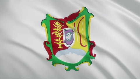 Nayarit - Mexican State Waving Flag