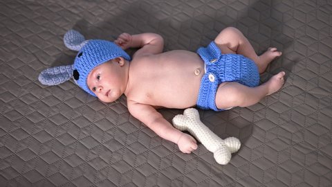 Little infant boy wearing funny hat and pants lies on the bed. Beautiful baby in puppy costume on the grey backdrop.
