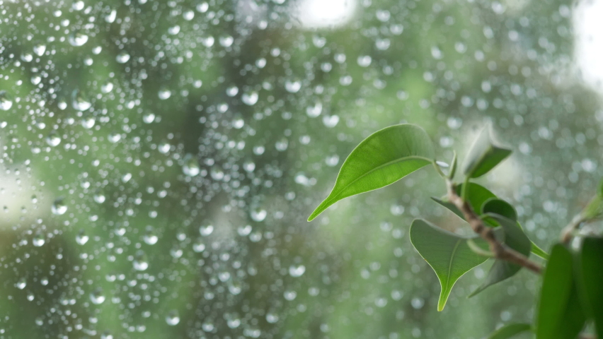 Rainy day behing the window in 4k slow motion 60fps