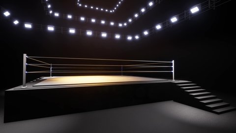 Sports wrestling and boxing. Sport 4K professional background animation	
