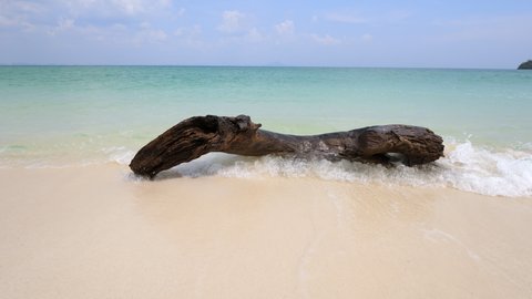 Crooked dark log lie on fine sand, waggle in shallow swashing water. Drift wood at exotic tropical island of Thailand. Crystal clear sea waters on background, fine clean sand of beach