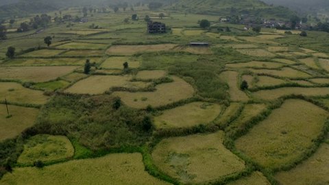 Aerial View Of Rice Paddy Fields In The Town Of Karjat In India - drone shot