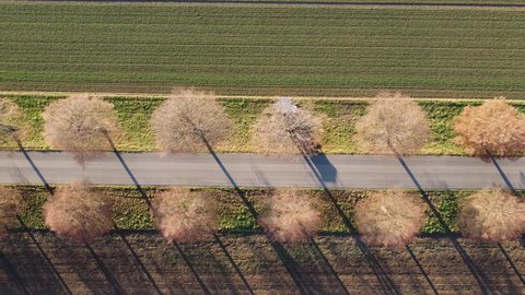 Aerial shot (ascent) of cars driving along scenic avenue in beautiful rural autumn landscape 