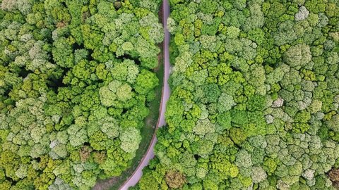 
A beautiful view from a bird's eye view of the forest and the road