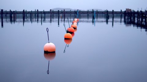 Buoys in faded colors red and orange slowly rocking in the harbor. Beautiful reflection on the ocean surface. Moody Swedish Nature.