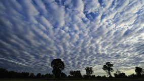 Relaxing beautiful cirrocumulus clouds pass above the sky. Time-lapse clip.