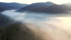Splendid rural landscape is covered with thick fog from a bird's eye view. Location place Carpathian mountains, Ukraine, Europe. Cinematic aerial drone shot. Filmed in UHD 4k video. Beauty of earth.