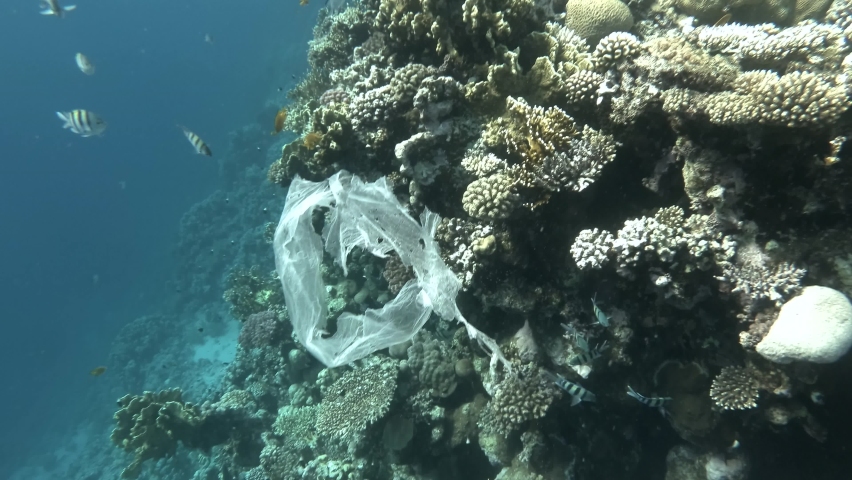 Plastic pollution - A piece of plastic bag drifting near coral reef, gradually collapsing and turns into microplastics. Plastic garbage environmental pollution problem. | Shutterstock HD Video #1084644448