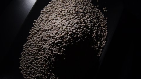 Raw lentils in a black tray gyrating, rotation