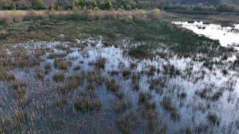 Marsh and wetland area on the Aguera river near El Pontarron de Guriezo. Cantabria, Spain, Europe