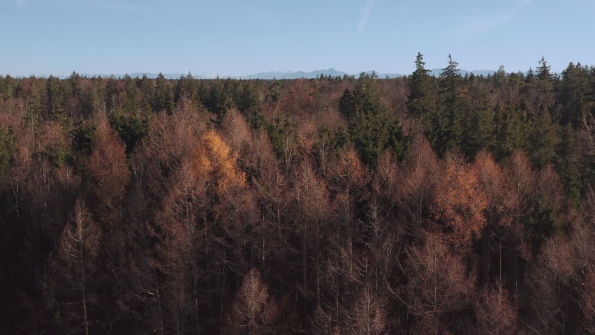 Forest up to the mountain range - Crane reveal shot from a low angle up to the sky