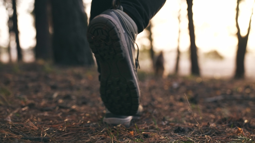 hiker feet walking the dog in the park forest. travel concept. close-up of a leg man walking with a dog in the park in the forest. journey pet dog walk concept. hiker sneakers walking close-up park Royalty-Free Stock Footage #1084680937