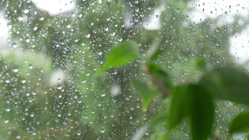 Rainy day behing the window in 4k slow motion 60fps