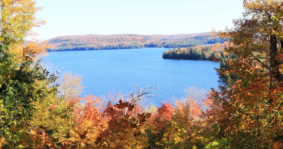 Colorful autumn foliage overlooking lake in Algonquin Provincial Park 4K