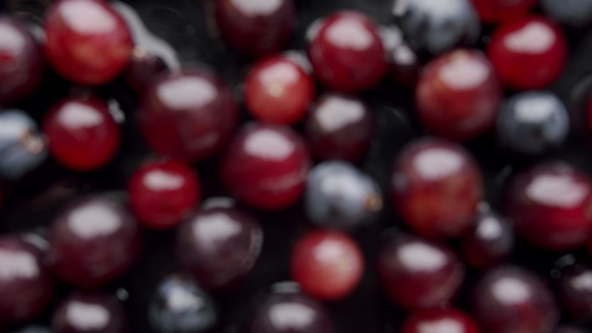 Ripe blue, black, red grapes jump up and fall on a black background with water Royalty-Free Stock Footage #1084704187