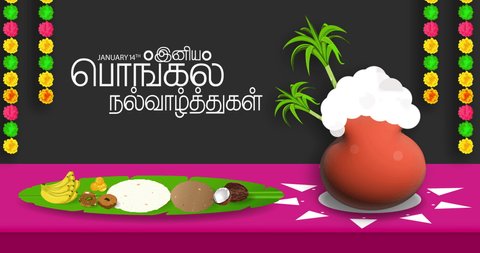 Happy Pongal festival greetings. Translate Happy Pongal Tamil Text.