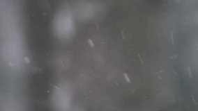 Blurry snowfall background. Windy Heavy snowfall in 4K video in a forest branched trees during the Winter. Background copyspace concept.