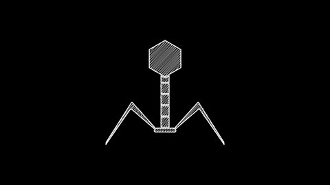 White line Bacteria bacteriophage icon isolated on black background. Bacterial infection sign. Microscopic germ cause diseases concept. 4K Video motion graphic animation.