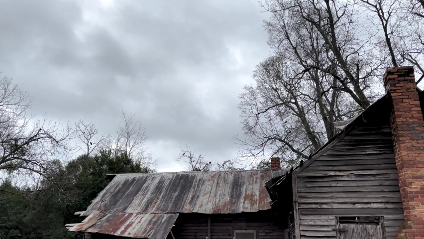 vultures in a tree top on a cloudy day fast moving clouds