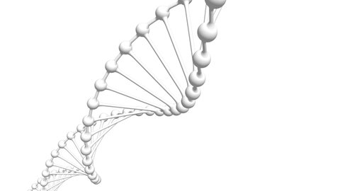 3D animation of DNA double helix (looped video)