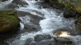 Mountain stream. water flowing between the stones. Slow motion HD