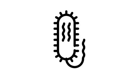 vibrio cholerae black icon animation
