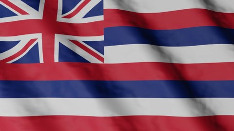 Flag of state Hawaii waving in the wind. Video footage.