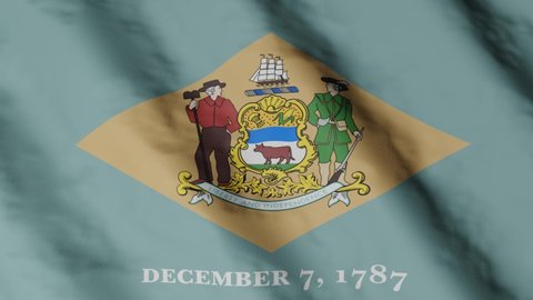 Flag of state Delaware waving in the wind. Video footage.