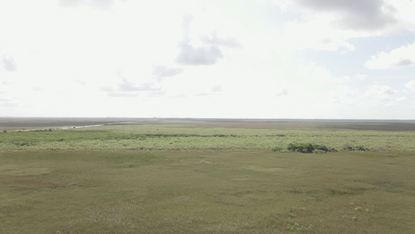 Wide sweeping pan right across panoramic everglades grassland marsh