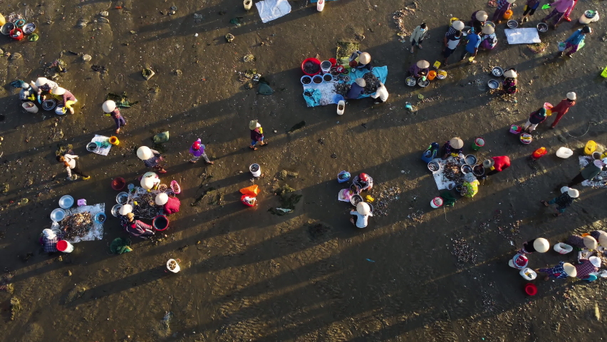 Bird's eye view of women working on the beach in Mui Ne bay,Vietnam early morning cleaning and sorting fish seafood. Unsustainable livelihood, overfishing damaging marine ecosystem, climate change. Royalty-Free Stock Footage #1084778989