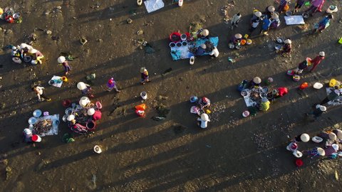 Bird's eye view of women working on the beach in Mui Ne bay,Vietnam early morning cleaning and sorting fish seafood. Unsustainable livelihood, overfishing damaging marine ecosystem, climate change.
