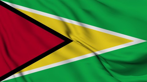 Flag of Guyana. High quality 4K resolution	