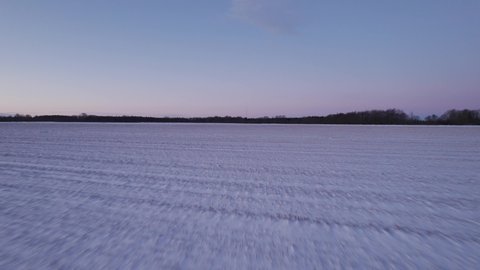 Snowy Winter Landscape. Empty Snow Field And Trees - Dolly Shot