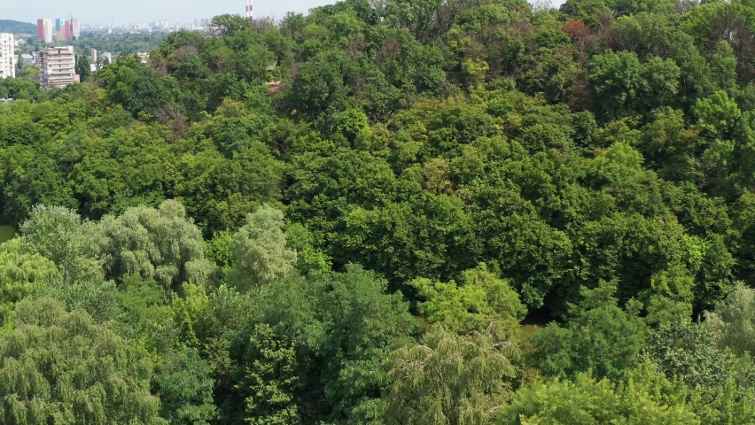 Nice top view of the park, forest covered with greenery. Small houses in the background.
