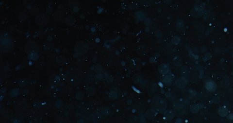 Close Up Lockdown Shot Of Particles And Bubbles In Water Against Black Background