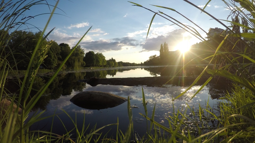 Small laki in the park time lapse video
