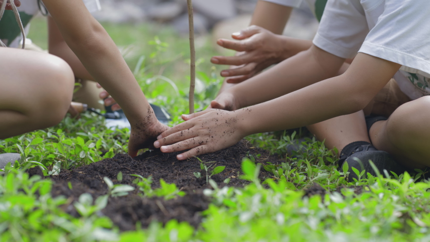 Close up hand of children planting a forest as save world concept. Volunteer Activities aimed at instilling a sense of reverence for the natural world and the environment. slow motion Royalty-Free Stock Footage #1084820158