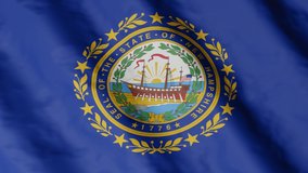 Flag of state New Hampshire waving in the wind. Video footage.