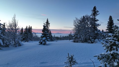 Beautiful sunset in winter mountain landscape. Cold snowy trees in north Sweden.