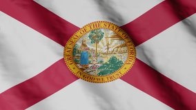 Flag of state Florida waving in the wind. Video footage.