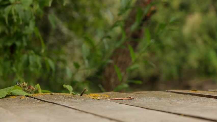 A man walking along a bridge across the lake