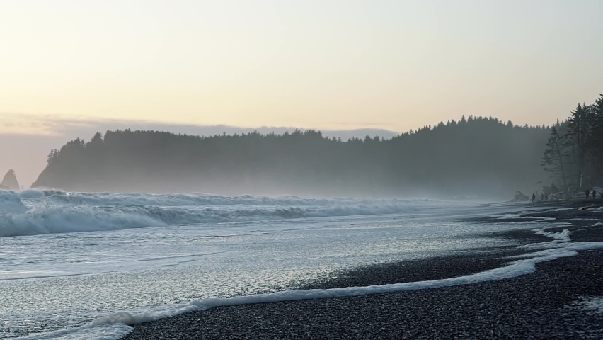 Beautiful shot of the coastline of the famous Ruby Beach near Forks, Washington with small waves crashing and leaving sea foam behind, and large cliffs of pine trees and fog on a warm summer evening.